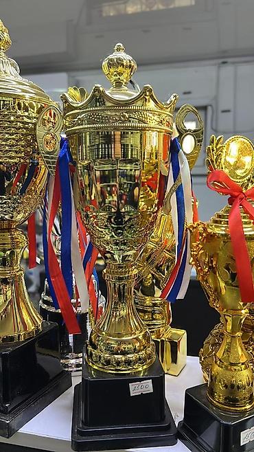 Статуэтки: #Кубки и фигурки-статуэтки для награждения - Материал: золотистый — 11