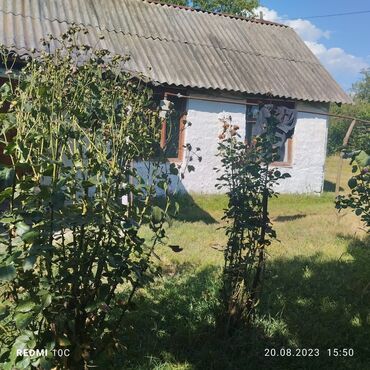 Mənzillər: 25 sot, Kupça (Çıxarış)