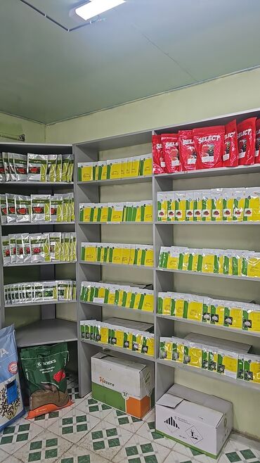 Овощи: Семена овощей: Помидоры, Огурцы, Лук, Самовывоз, Бесплатная доставка, Платная доставка — 26