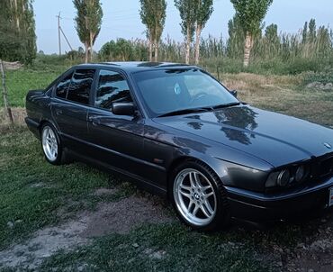 BMW: BMW 5 series: 2025 г., Седан