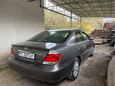 bmw 2020: Toyota Camry: 2005 г., Автомат, Бензин, Седан — 2