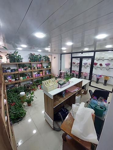 bazar: ŞƏHƏRİN MƏRKƏZİ İCARƏ OBYEKT Obyekt 28 May metrosunun əsas çıxışına — 1
