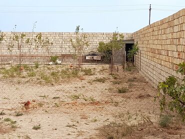 Bağ evlərinin satışı: Bakı, Kürdəxanı qəs., 38 kv. m, 1 otaqlı, Hovuzlu, Su, Kanalizasiya, Kombi -da lalafo.az — 27 Bağ evlərinin satışı: Bakı, Kürdəxanı qəs., 38 kv. m, 1 otaqlı, Hovuzlu, Su, Kanalizasiya, Kombi — 27