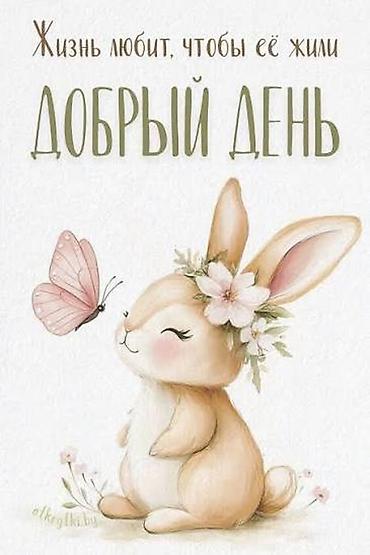 кот рыжий: 2 месяца, Мальчик — 2