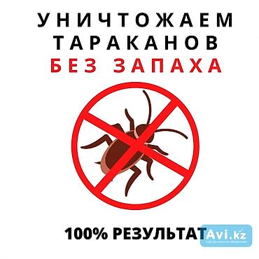 талоны: Дезинфекция, дезинсекция, | Муравьи, Блохи, Вирусы, микробы, | Кафе, магазины, Квартиры, Подъезды — 8