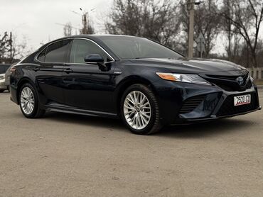 таета джип: Toyota Camry: 2019 г., 2.5 л, Вариатор, Гибрид, Седан