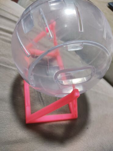 Oyuncaqlar: Kiçik gəmiricilər üçün qaçış topu və daşıma konteyneri seti. - — 2