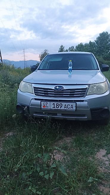 багажник форестер: Subaru Forester: 2009 г., Кроссовер — 2