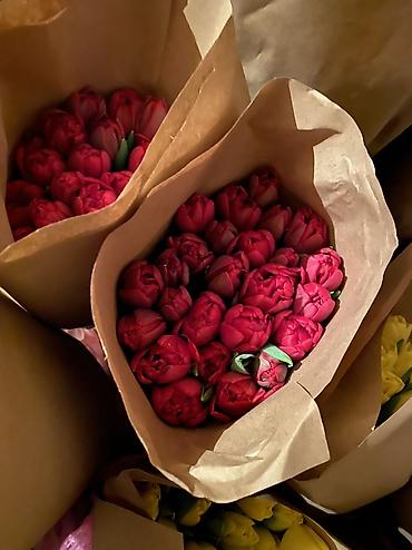 Букеты из живых цветов: Тюльпаны к 8 Марта — опт и розница. - Свежесрезанные тюльпаны разных — 15