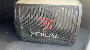 gps маяк для животных: Автомобильный сабвуфер Focal Solution 25 A1 в корпусе, предназначенный