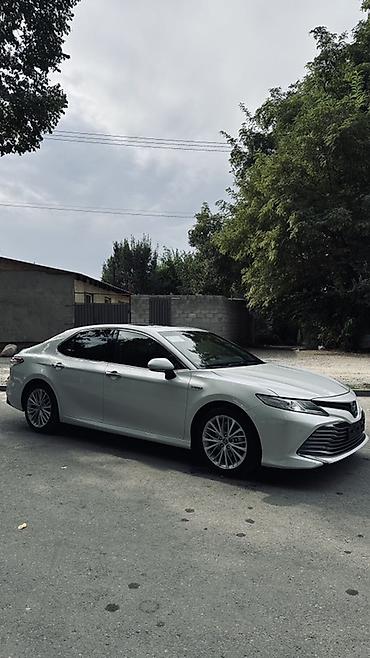 Toyota: Toyota Camry: 2019 г., 2.5 л, Автомат, Бензин, Седан — 3