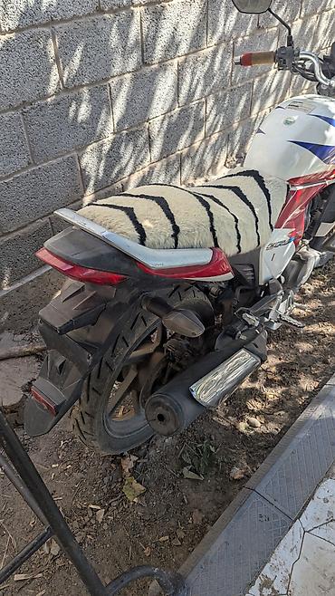 мото номер: Классический мотоцикл Honda, 250 куб. см, Бензин, Взрослый, Б/у — 4