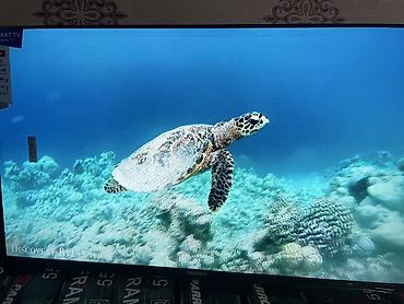 Телевизоры: Новогодние скидки🎉🎉🎁🎁 Цены ниже склада🫡🫡 Акции на все размеры от 32 до — 10