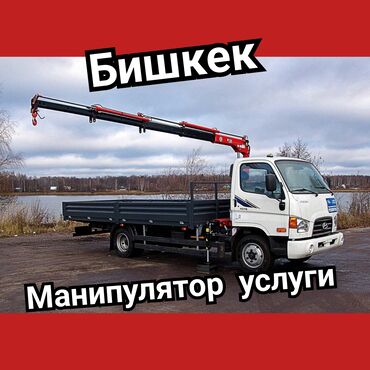 продаю в связи переездом: Манипулятор