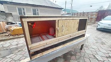 Товары и оборудование для с/х животных: Брудер/клетка для выращивания цыплят и другой птицы Внимание!!! Прошу — 10