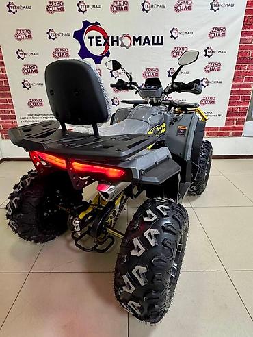 Квадроциклы: Квадроцикл Бензин, 200 куб. см, Взрослый — 15