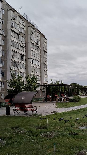 alinur classic: 1 комната, 34 м², 3 этаж — 5