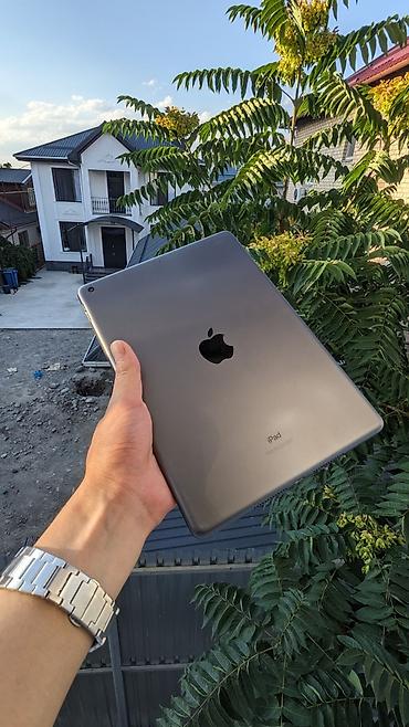 socket 1155: Планшет, Apple, память 64 ГБ, 9" - 10", Wi-Fi, Б/у, Классический цвет - Серый — 1