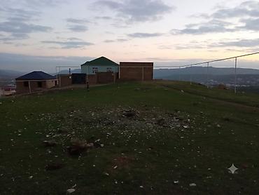 Torpaq: 2 sot, Tikinti, Mülkiyyətçi, Kupça (Çıxarış) — 6