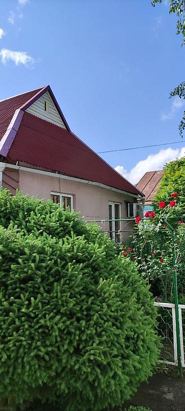 Кыймылсыз мүлк: Продаю дом В селе Ново-Николаевка Дом - 70 кВ.мы Участок -17 соток — 3