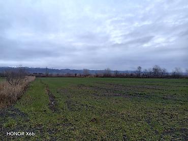 Torpaq sahələrinin satışı: 200 sot, Kənd təsərrüfatı, Texniki pasport — 12