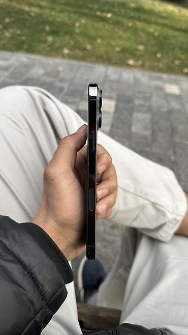 Apple iPhone: IPhone 13 Pro Max, 256 ГБ, Серебристый — 9