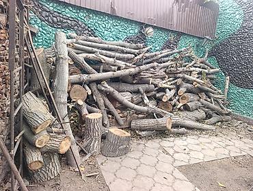 оружейный магазин охотник: Дрова Орех, Самовывоз — 1