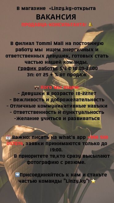 ищу работа ош: Талап кылынат Сатуучу консультант Иш тартиби: Алты күндүк, Сатуудан %, Толук жумуш күнү