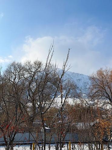 Продажа участков: 5 соток, Для строительства, Красная книга, Тех паспорт — 6