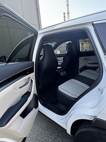 santafe 2021: BYD Song Plus: 2021 г., Гибрид, Кроссовер — 6