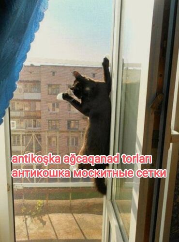 Jalüzlər: Жалюзи-москитные сетки. Соберём сетки на собственном производстве за — 10