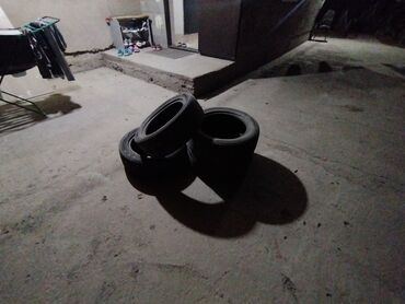 шинный центр бишкек прайс лист 2020: Шиналар 205 / 55 / R 16, Кыш, Колдонулган, Комплект, Dunlop