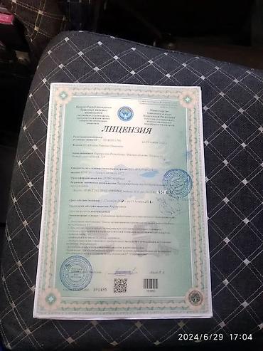 буу коляска: Баруучу жер: Бардык багыттар, Лицензия №: 01-010-17 — 2