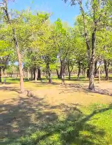 Продажа участков: 300 соток, Для строительства — 7