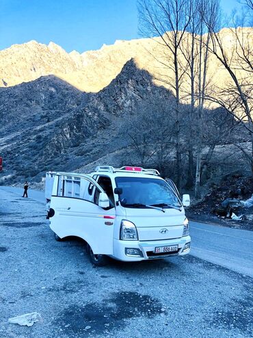 Услуги портера: Заказать Хендай портер, C грузчиком — 16