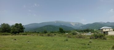 Torpaq sahələrinin satışı: 12 sot, Tikinti, Mülkiyyətçi, Kupça (Çıxarış) — 7