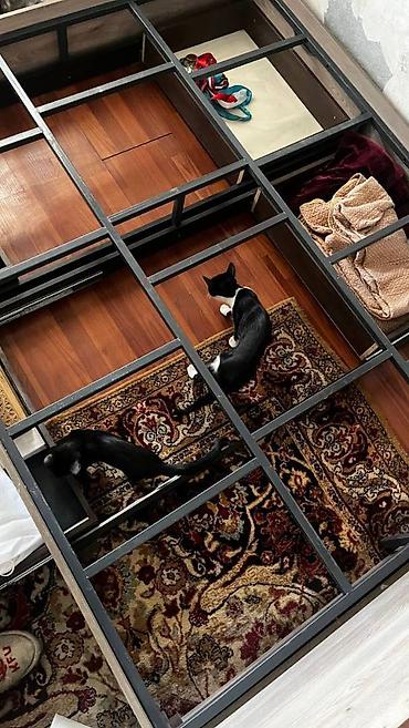 bunk bed: Двуспальная кровать, Б/у, С матрасом, длина - 200 см — 5