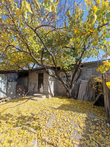 Продажа домов: Дом, 250 м², 11 комнат, Собственник, Дизайнерский ремонт — 21