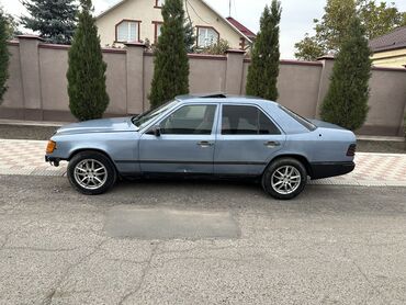 Mercedes-Benz: Mercedes-Benz W124: 1989 г., 2.3 л, Механика, Газ, Седан