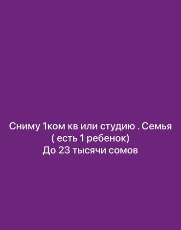 посуточные квартиры в бишкеке: 1 комната, 30 м², С мебелью