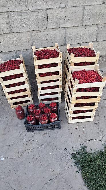 Малина: Малина — 3