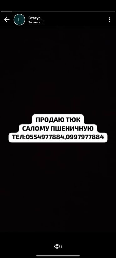 на ферме есть куры козлы и коровы: Продаю тюки салома пшеничную