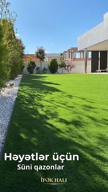 torf nerede satılır: 🌿 Hər fəsildə yaşıl görünən məkanlar üçün ideal seçim! Süni — 9