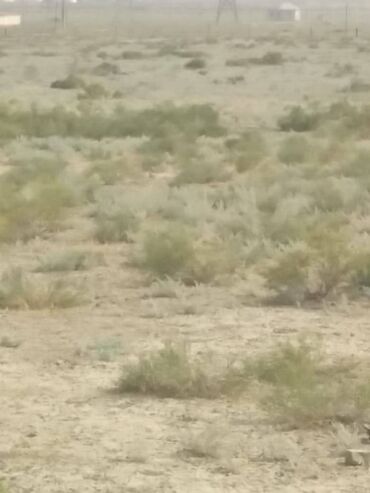 Torpaq sahələrinin satışı: 1100 sot, Kənd təsərrüfatı, Barter mümkündür, Bələdiyyə — 8