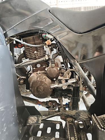 Квадроциклы: Квадроцикл Бензин, 280 куб. см, Взрослый — 4