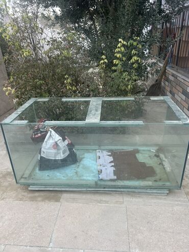 аквариум в баку: Böyük ölçülü şüşə akvarium - Material: qalın şüşə, künclər silikonla