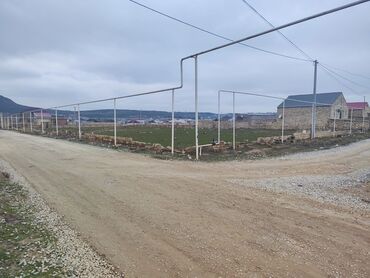 baş zəyzid torpaq: 4 sot, Tikinti, Mülkiyyətçi, Kupça (Çıxarış)