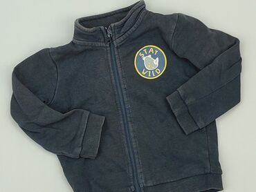 4f bluzka z długim rękawem: Sweatshirt, Lupilu, 9-12 months, condition - Fair