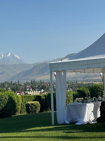 Организация мероприятий: Организация мероприятий | Оформление мероприятий — 6