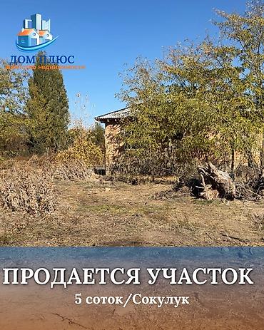 ош жер участок сатылат: 5 соток, Курулуш — 1